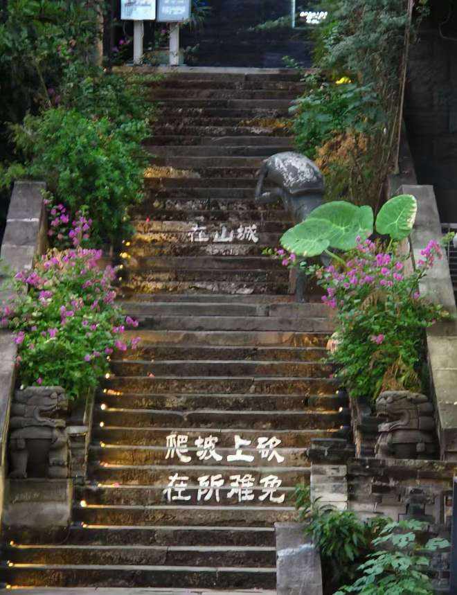 桔梗..发布的第2张图片