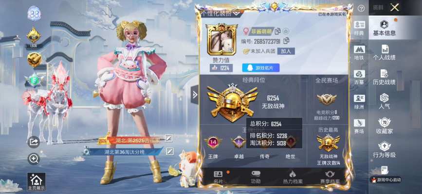 和平精英服务图片1