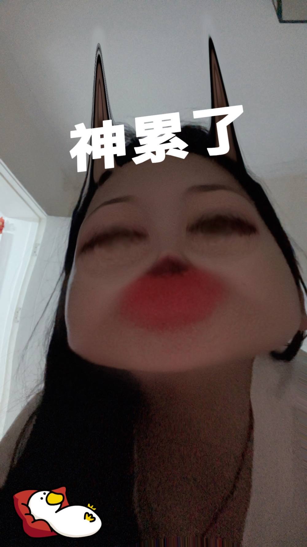 土拨鼠大王发布的第1张图片