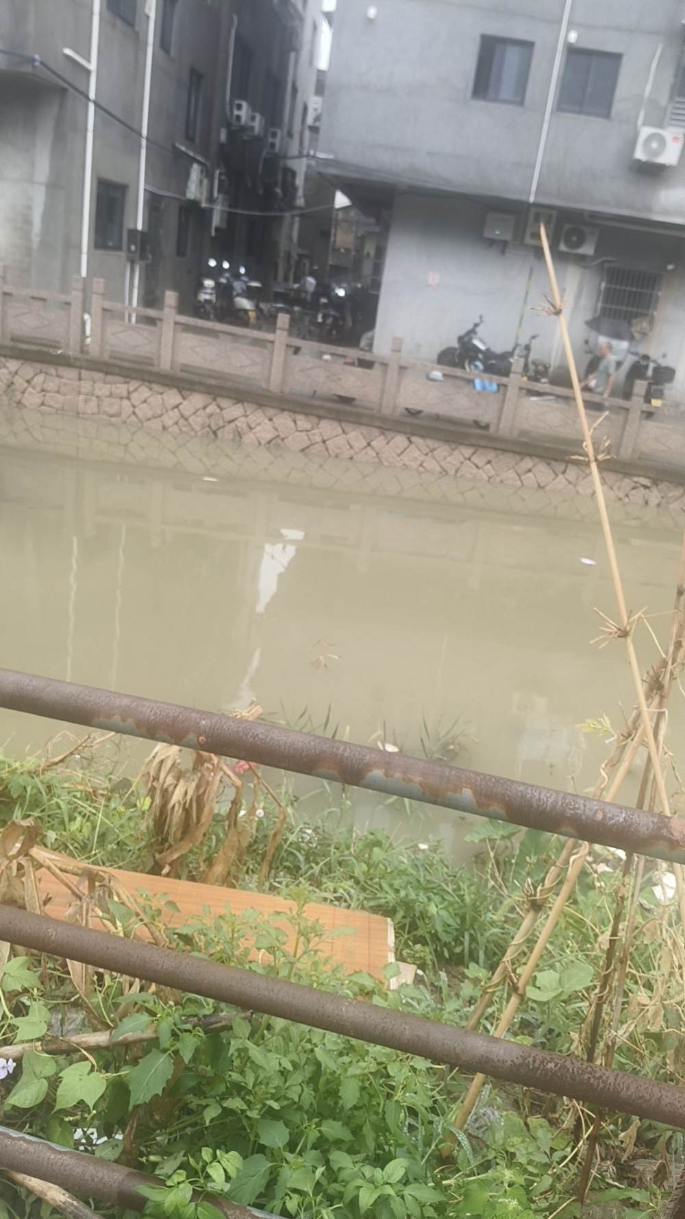 酒画发布的第1张图片