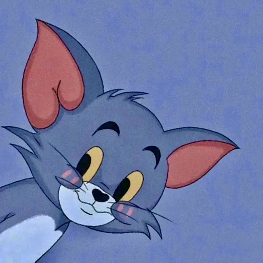 猫猫话多活跃吖ˇ发布的第1张图片