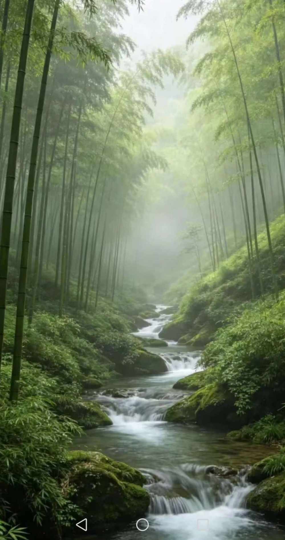 人间唯一发布的第1张图片
