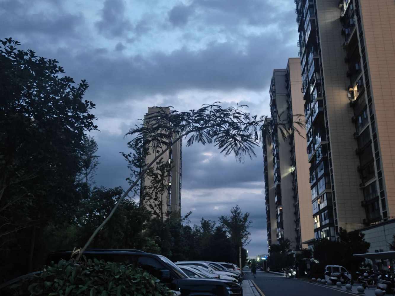 小萍*发布的第1张图片