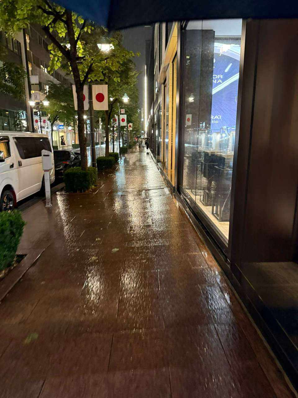 陈烦烦发布的第3张图片
