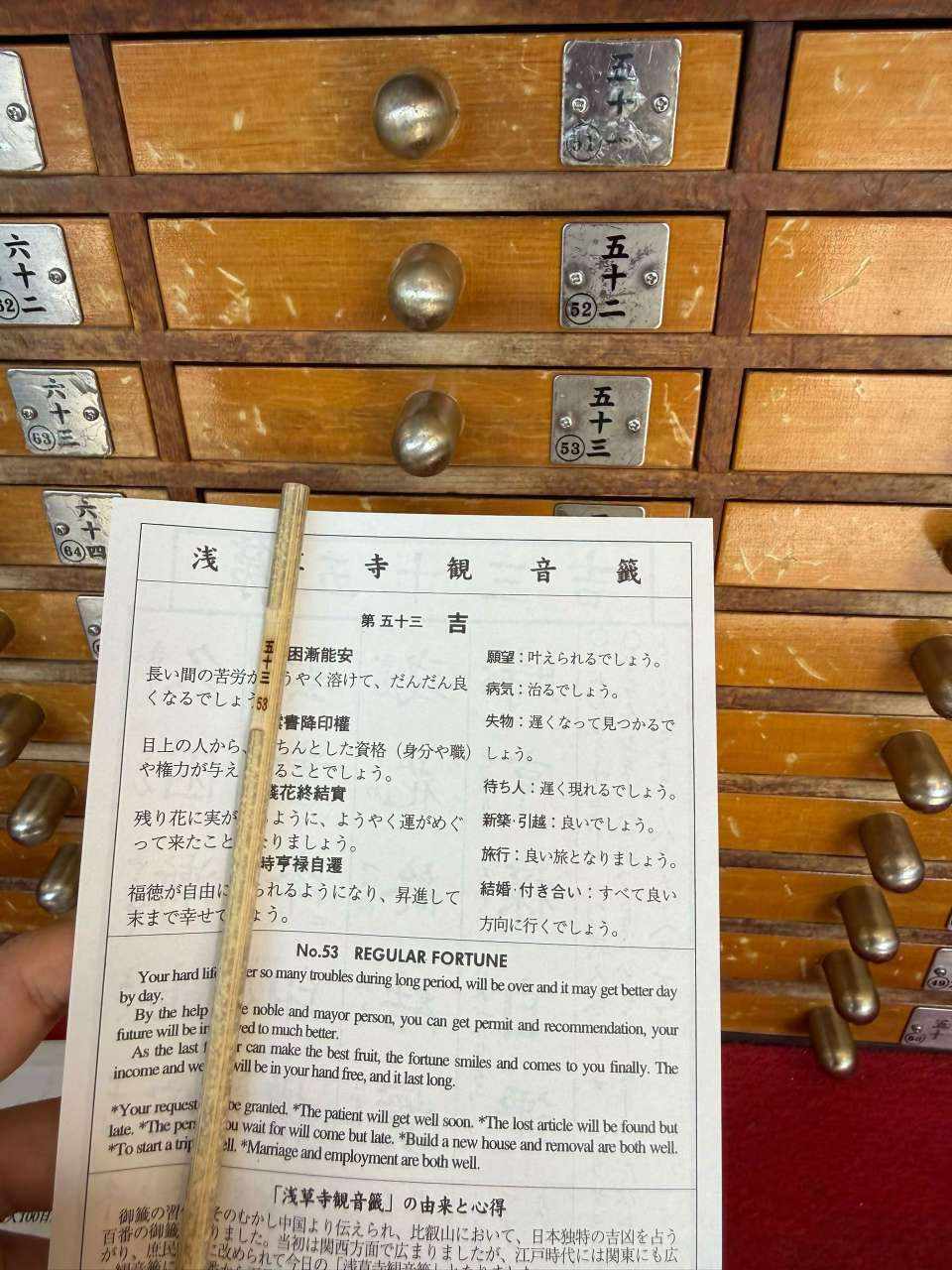 陈烦烦发布的第4张图片