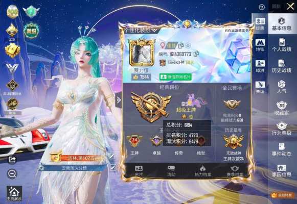 和平精英服务图片1
