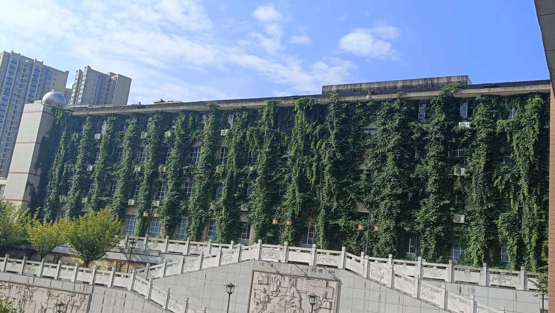 可爱萌宝雅丽发布的第1张图片