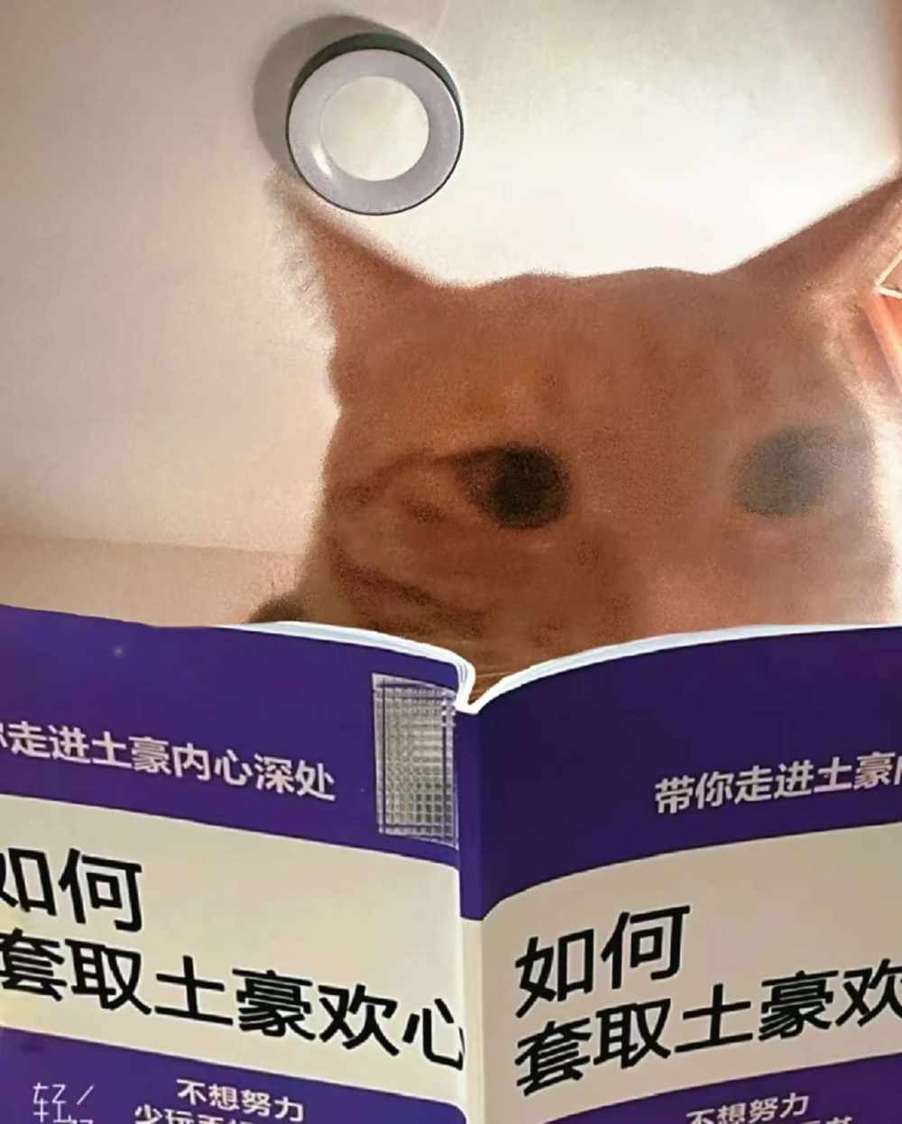 Aaaa叮当🔔发布的第2张图片