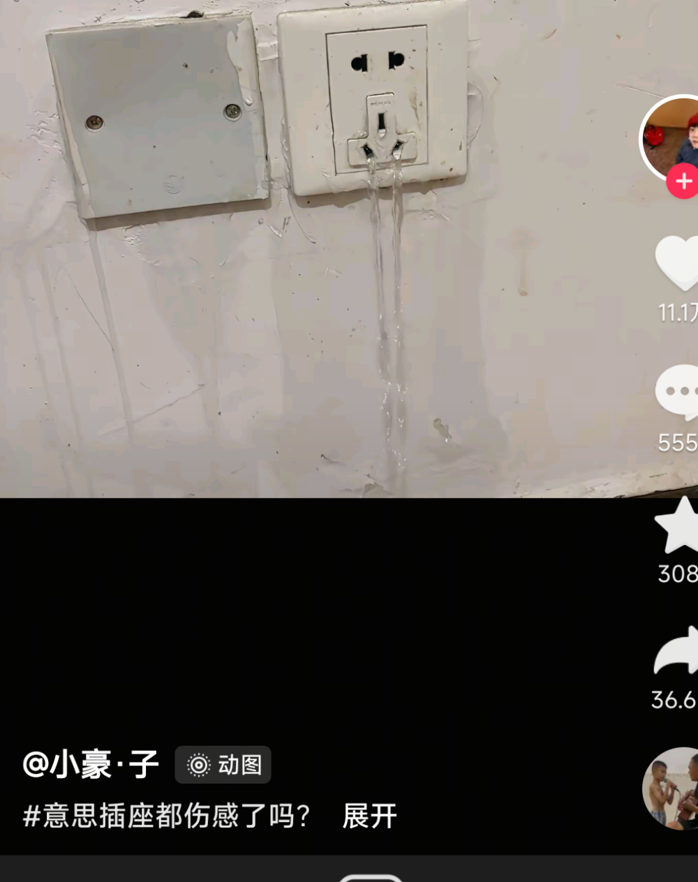雨中开出了花发布的第1张图片