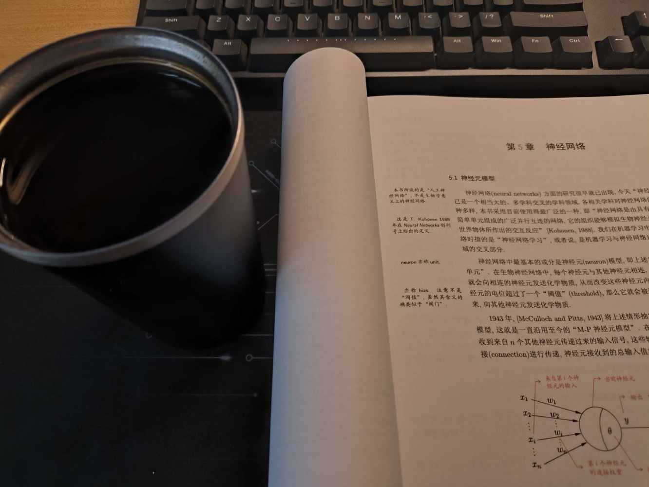 公老虎，发布的第1张图片