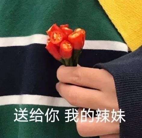 大内的棒子发布的第1张图片