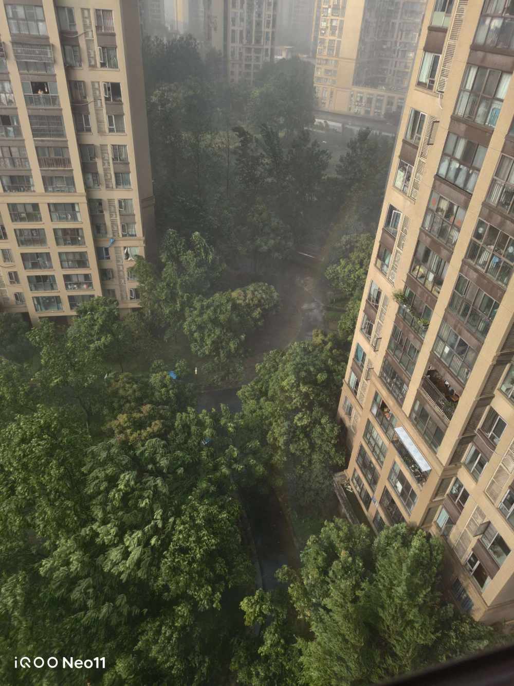浔惗发布的第1张图片