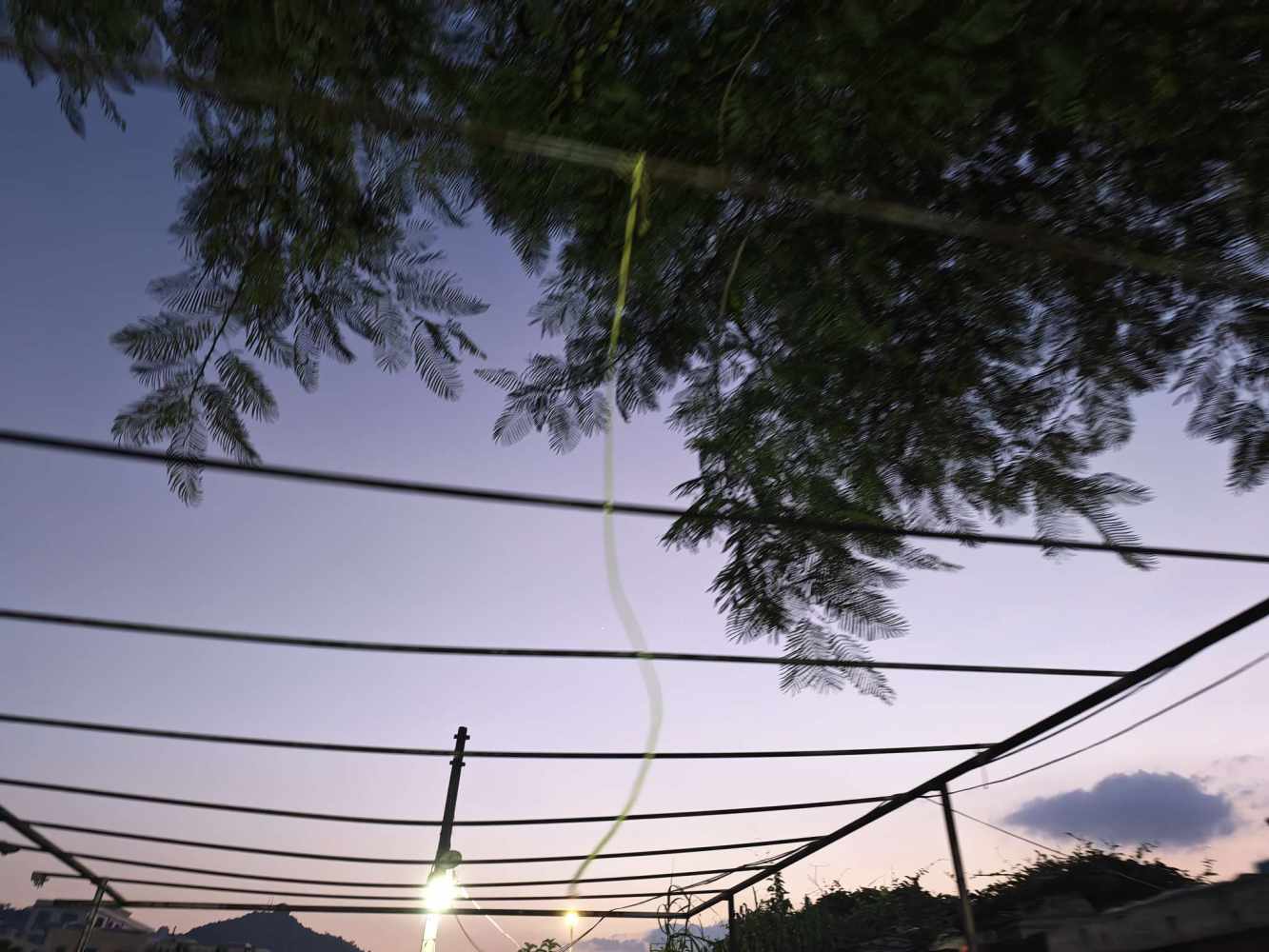 苏樱🌸发布的第2张图片