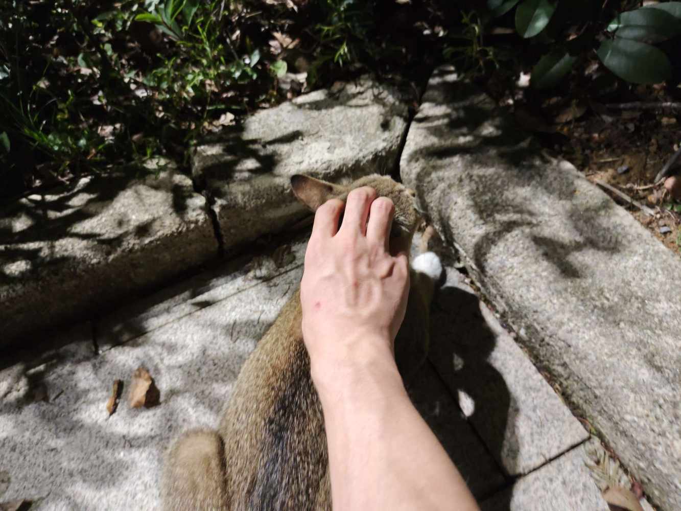 哈基人发布的第3张图片