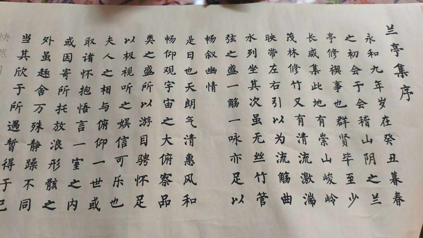 一克栗子（陪，代）发布的第2张图片