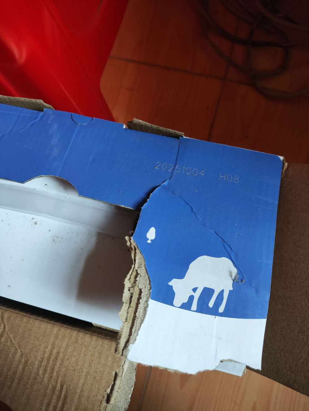 一朵风中摇曳的水仙花发布的第1张图片