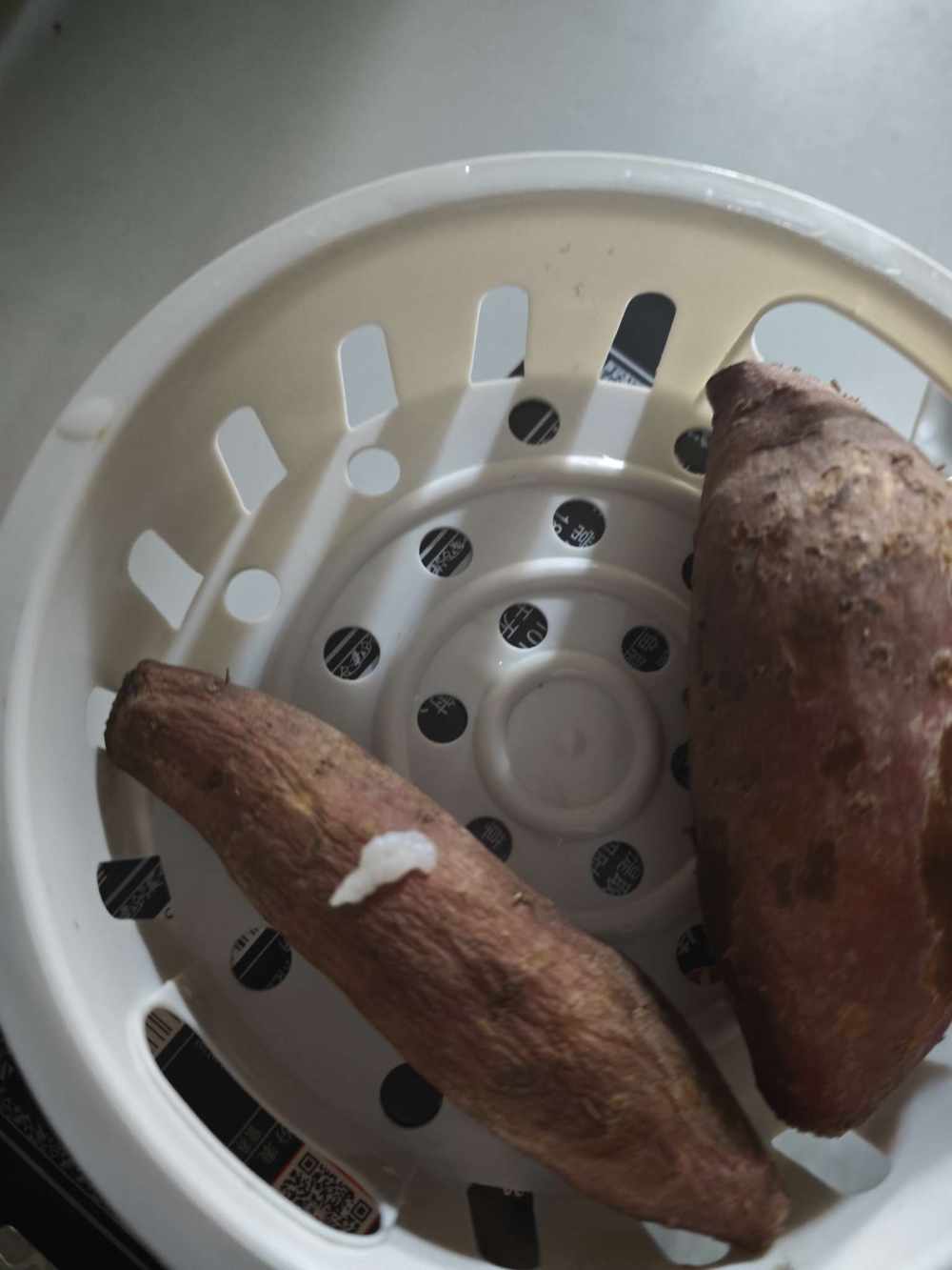小洋（纯绿）发布的第1张图片