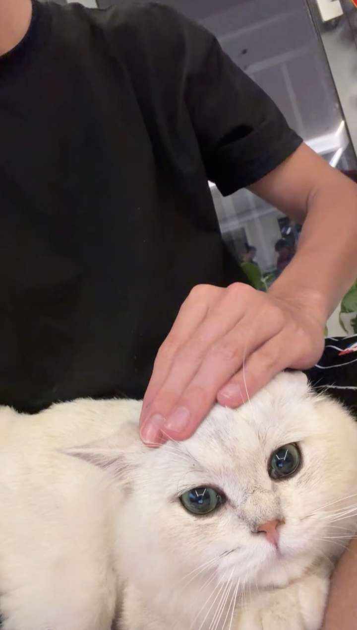 别舔姐的泪.发布的第4张图片