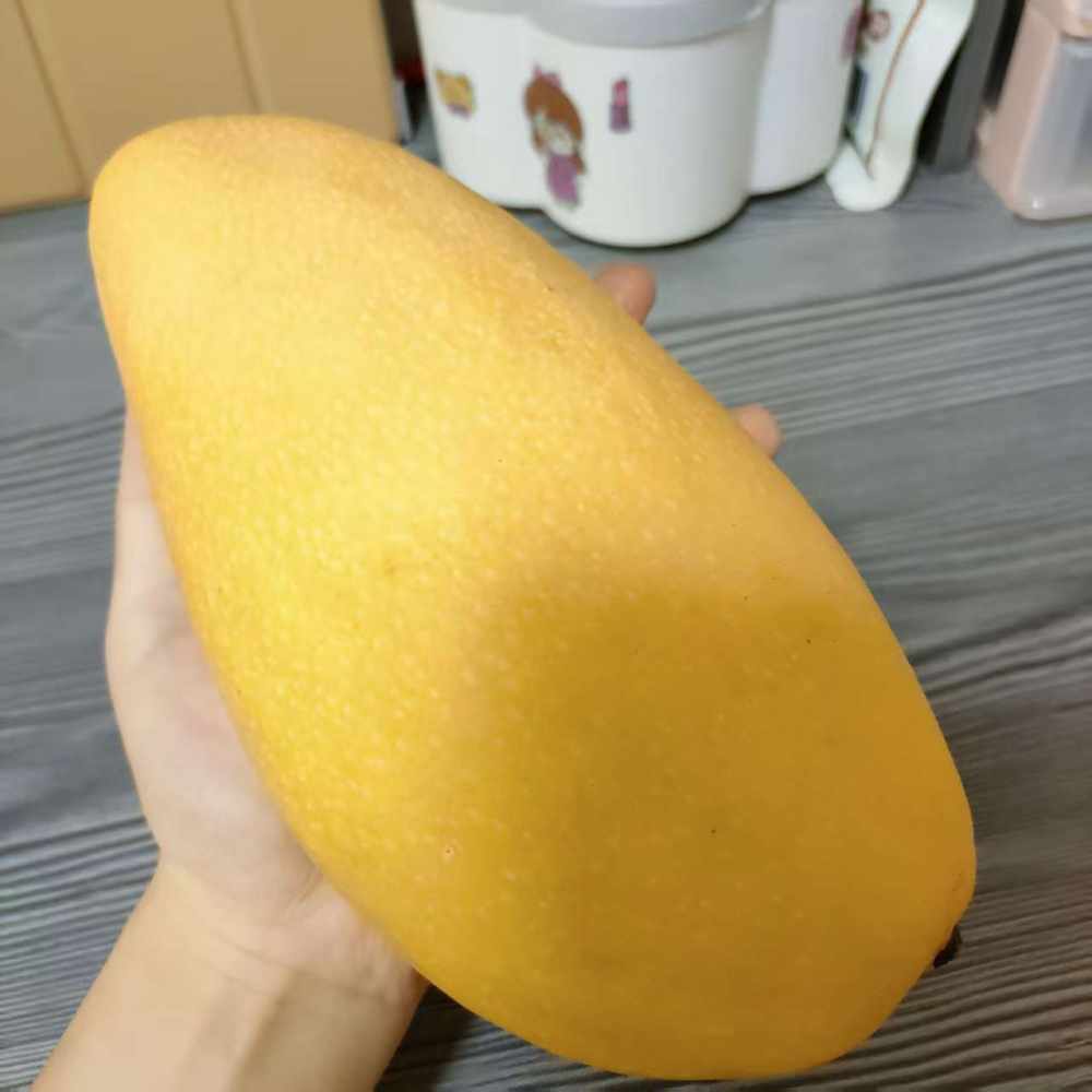 翠花～～发布的第1张图片