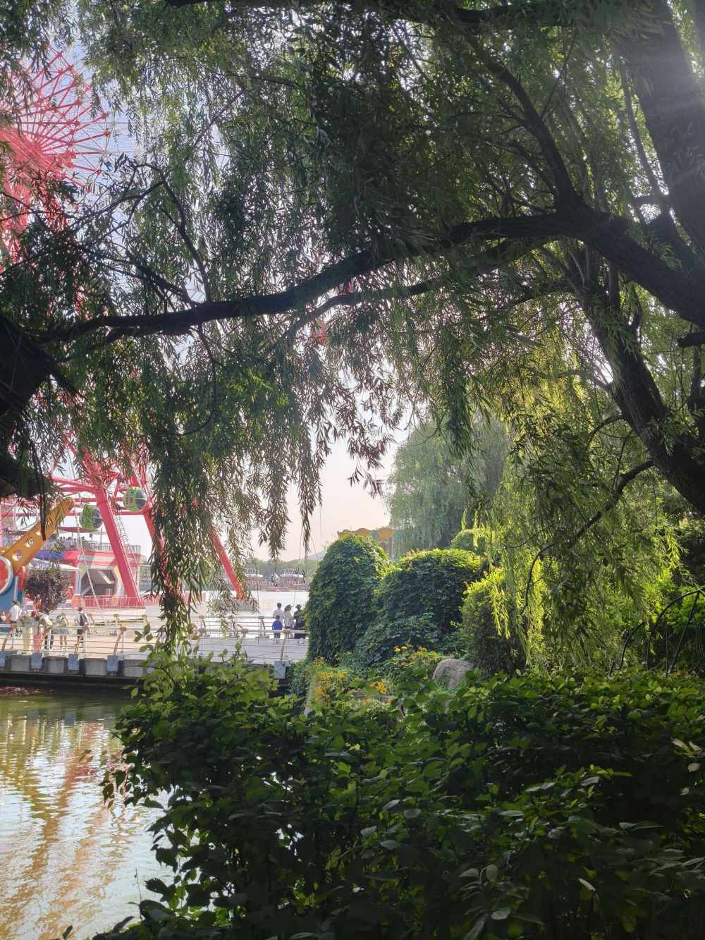小星睡懒觉.发布的第1张图片