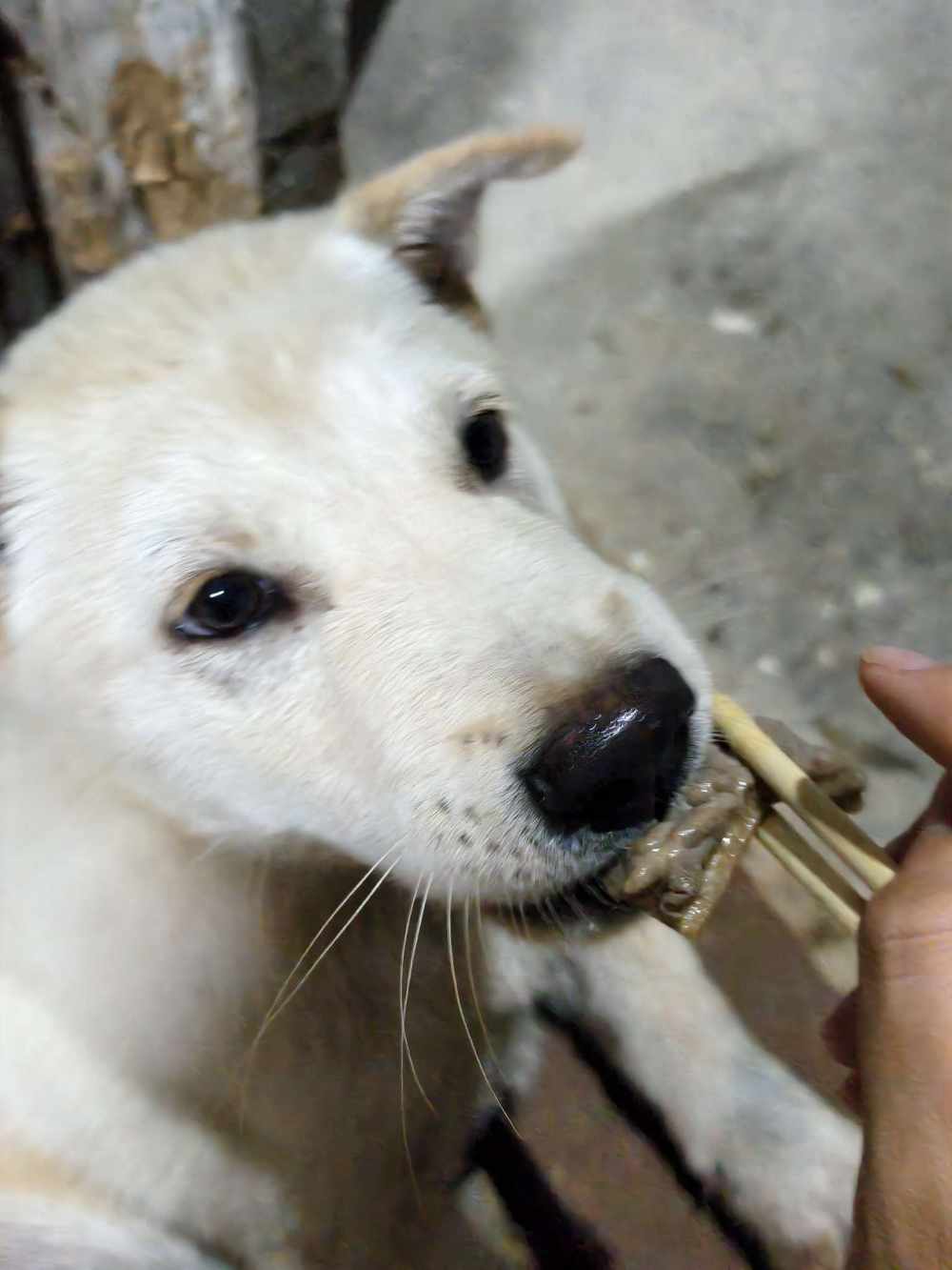 溜梅y发布的第1张图片