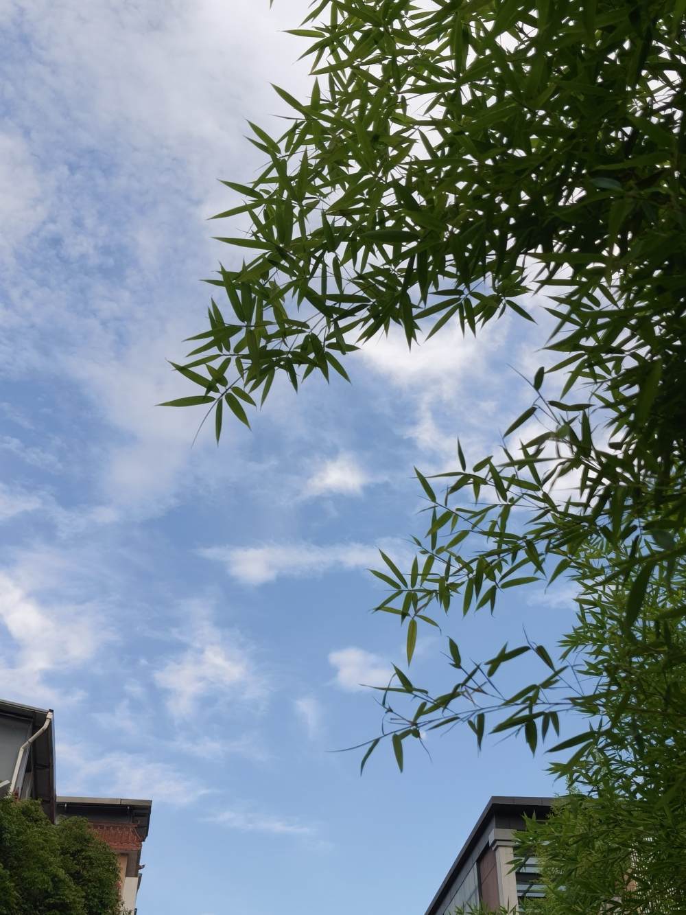 妤析发布的第1张图片