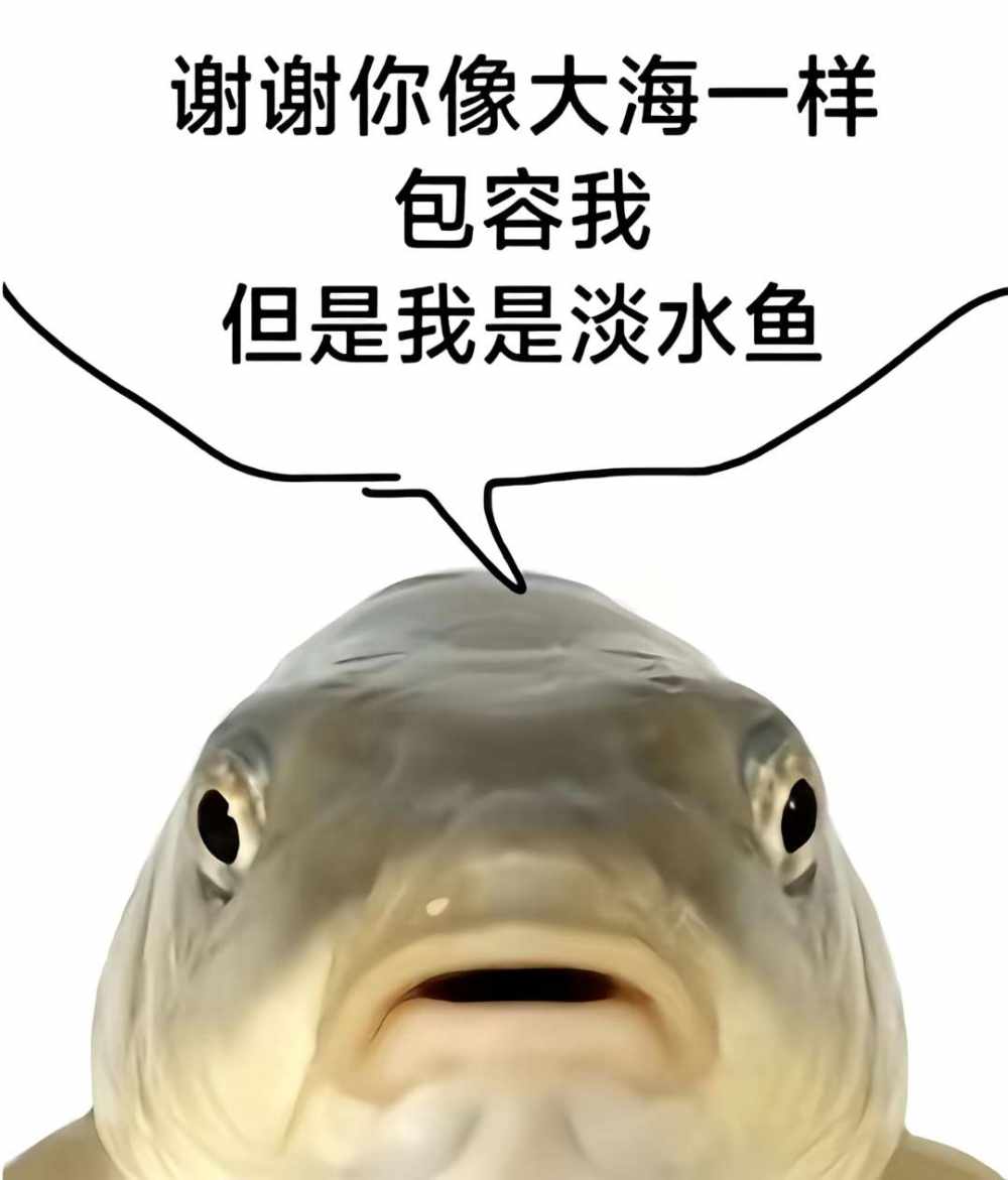 阿渔YY发布的第1张图片