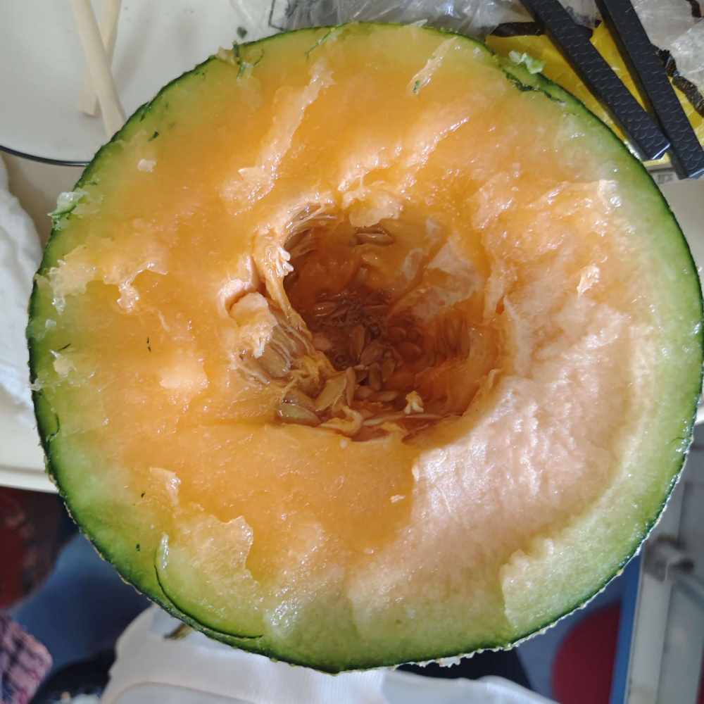 菜菜不蔡a.（比伴第一黑鬼）发布的第3张图片