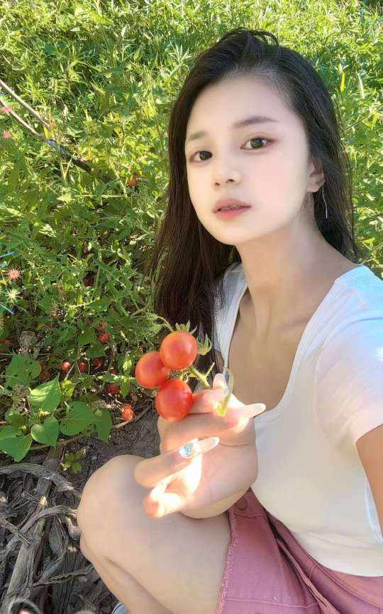 桔梗..发布的第2张图片