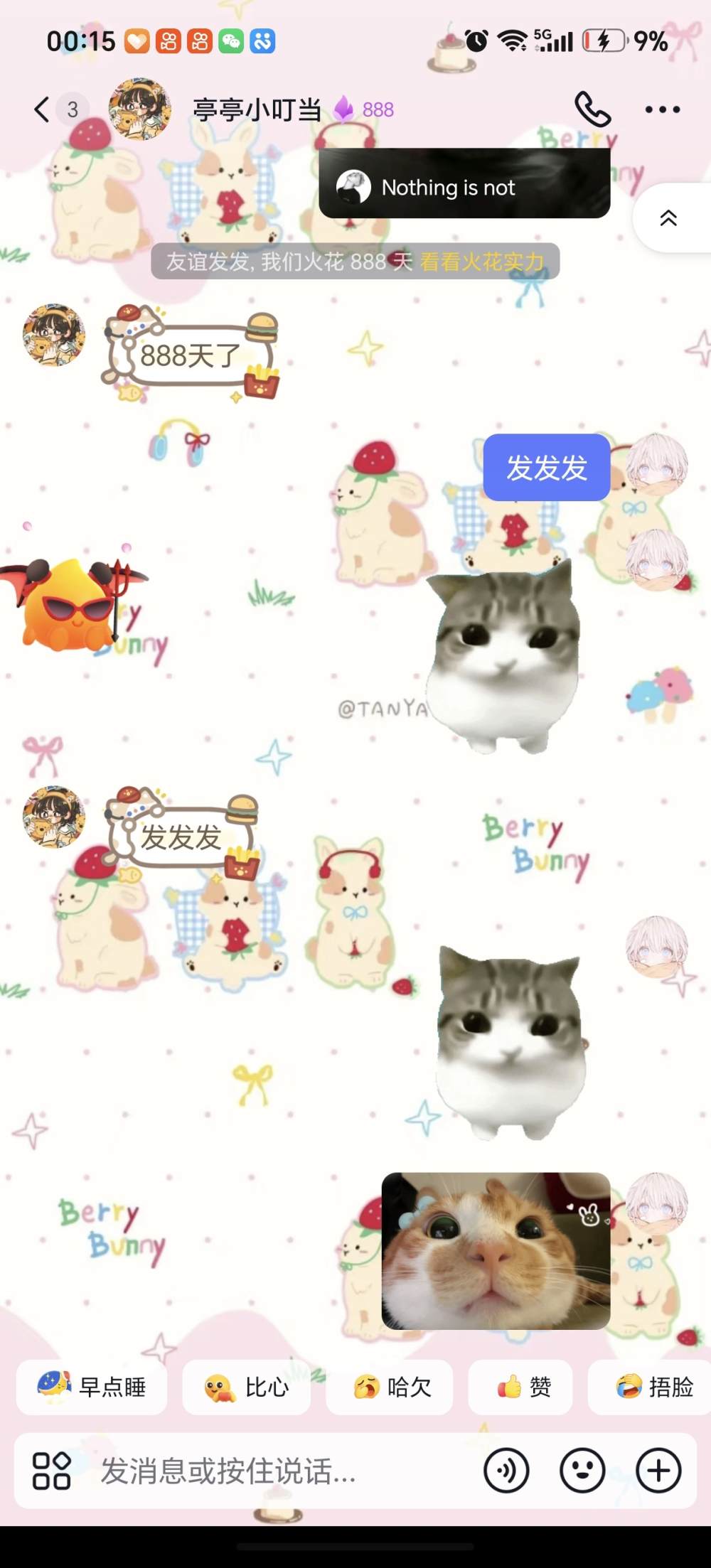 腼腆害羞发布的第1张图片