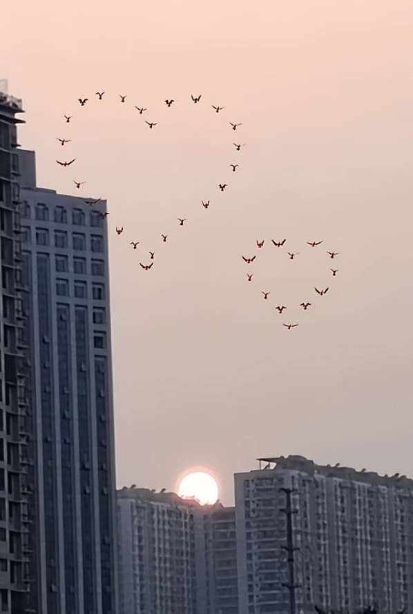 ζั͡ޓއއއ๓123发布的第1张图片