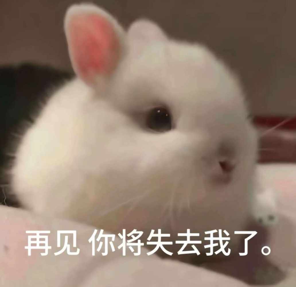 听燕雨（娱乐陪发布的第2张图片