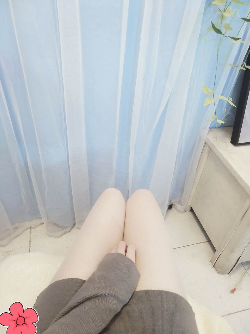 妤析发布的第1张图片