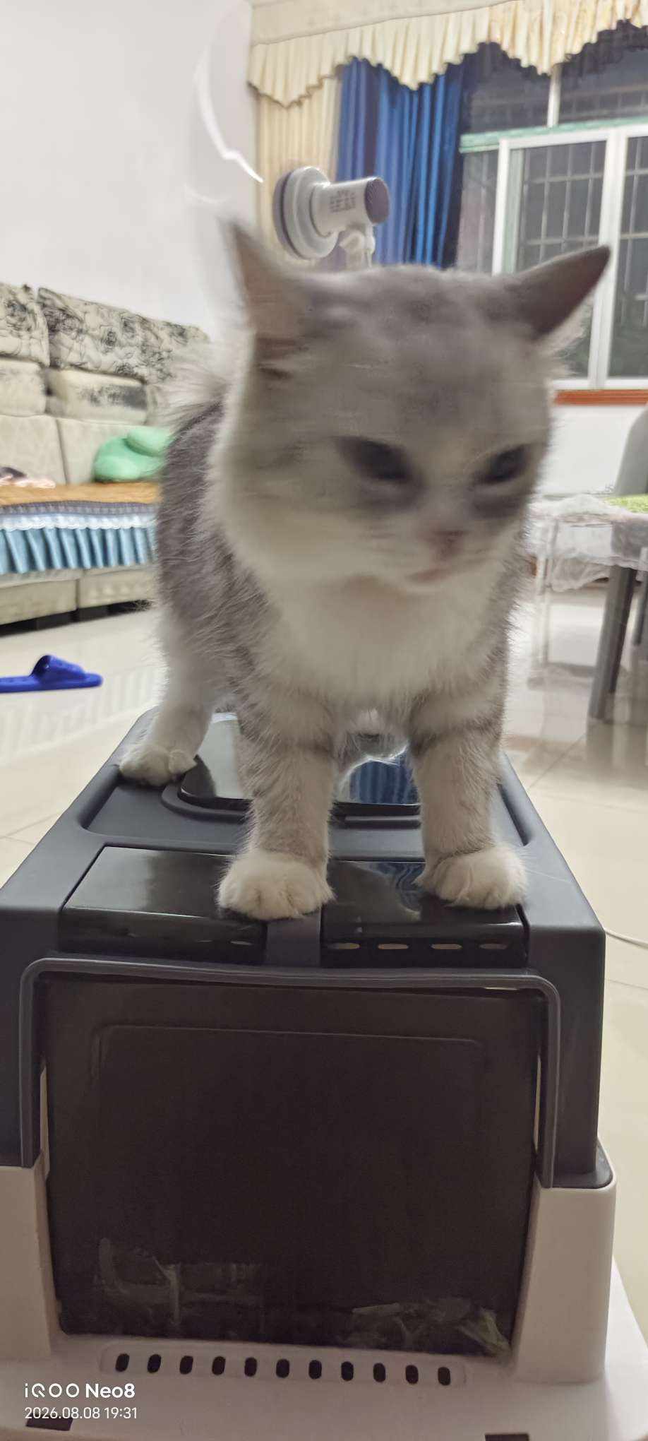 超级坐忘道火旺发布的第1张图片