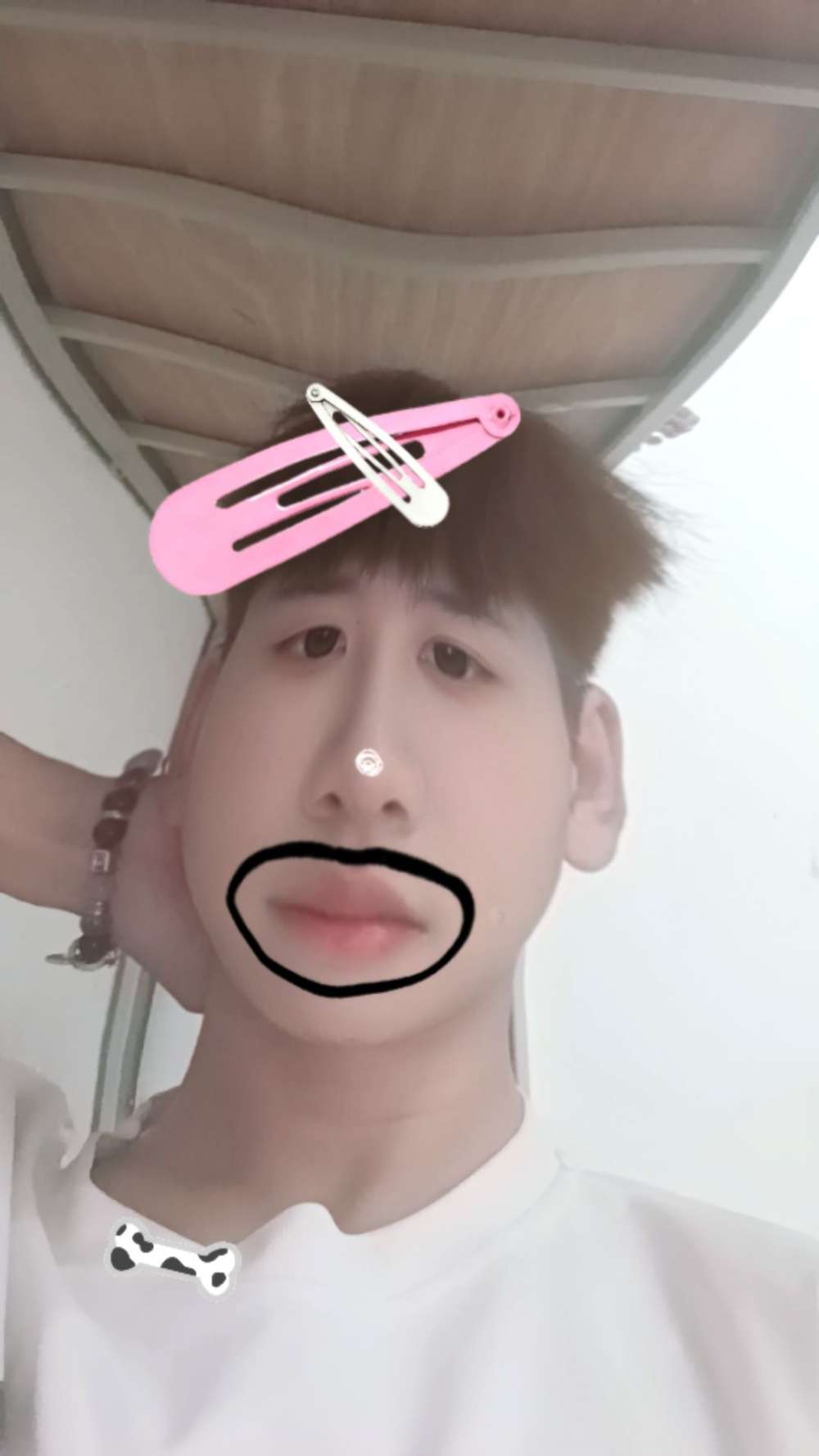 懒猫.net发布的第1张图片