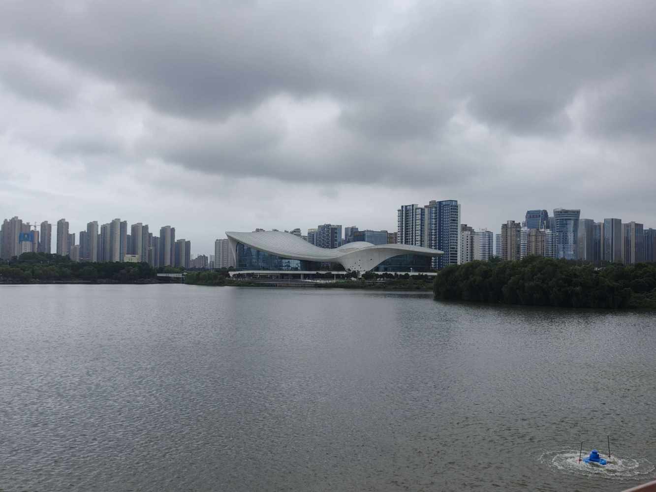 林霁川发布的第4张图片