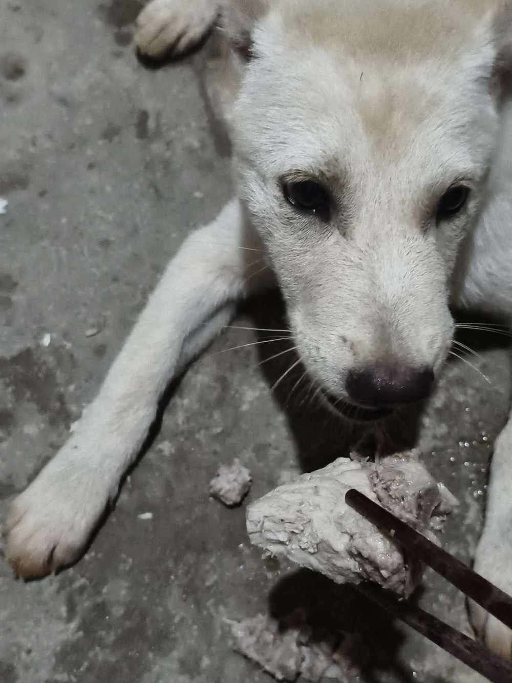 溜梅y发布的第1张图片