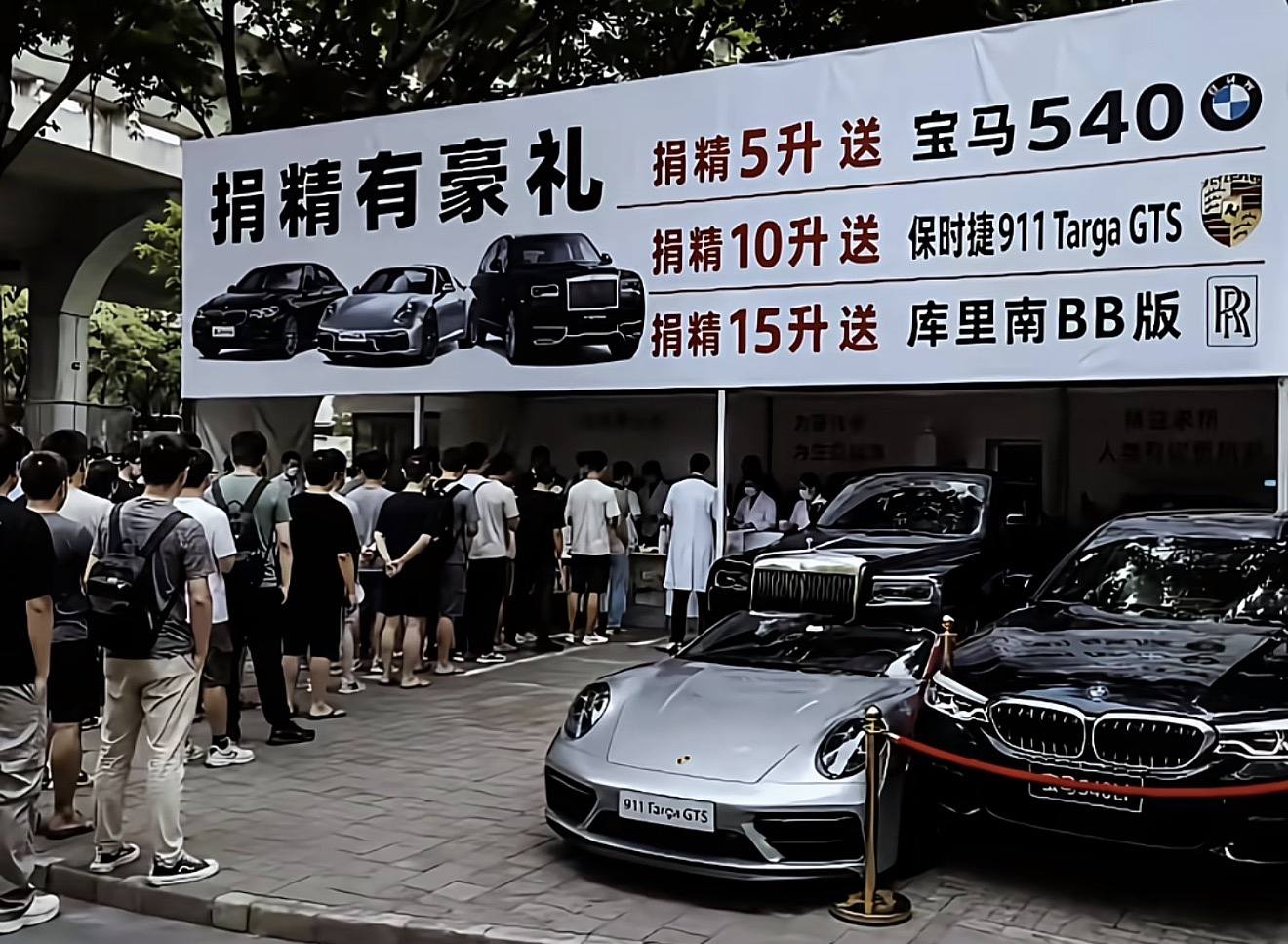 清景发布的第1张图片