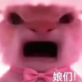 待我茹初.ʢ>🐽<ʡ发布的第1张图片