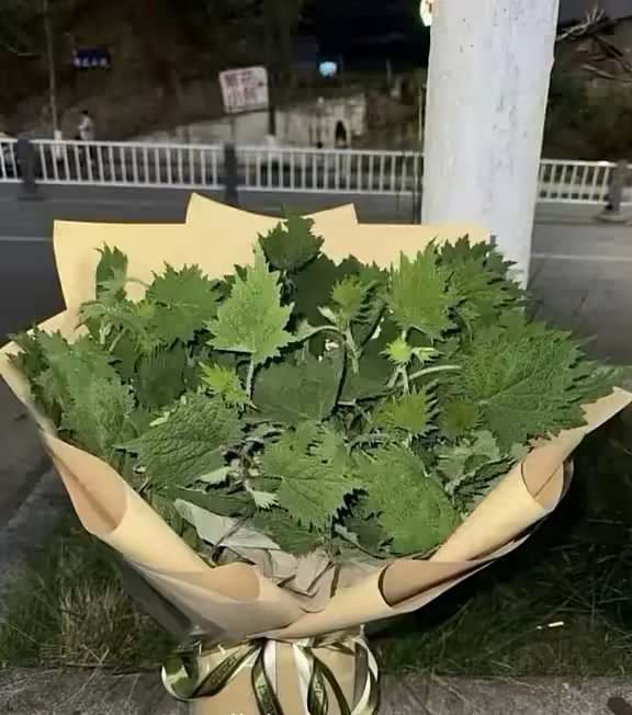 .永恒发布的第1张图片