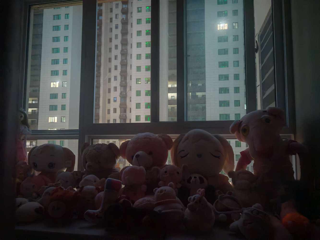 苏雨歆发布的第1张图片