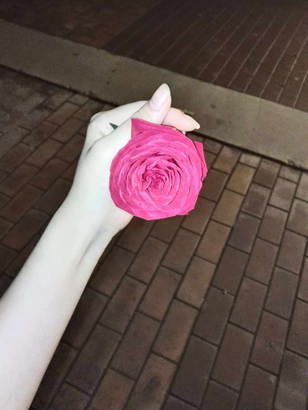 冷猫咪发布的第2张图片