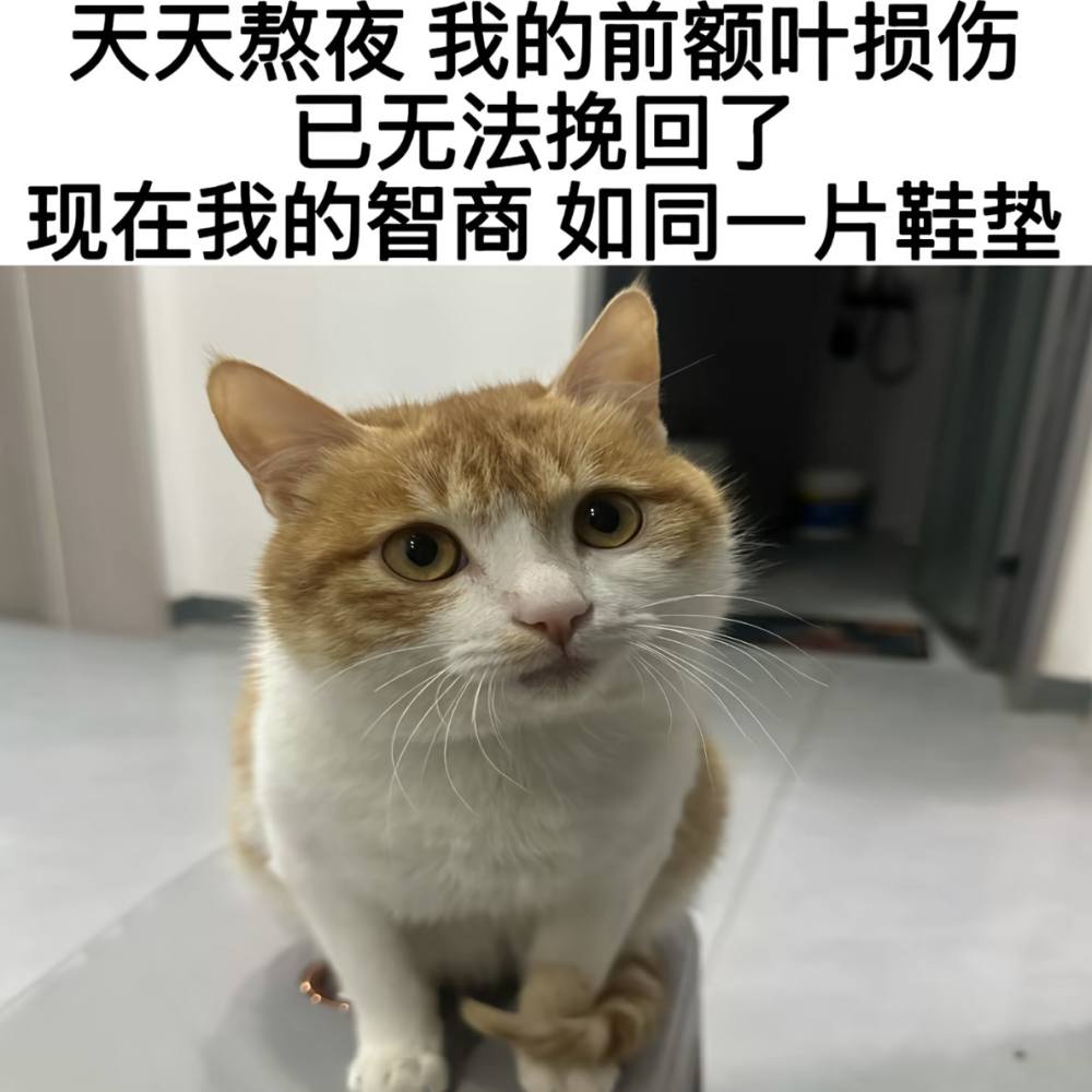 造谣发布的第1张图片