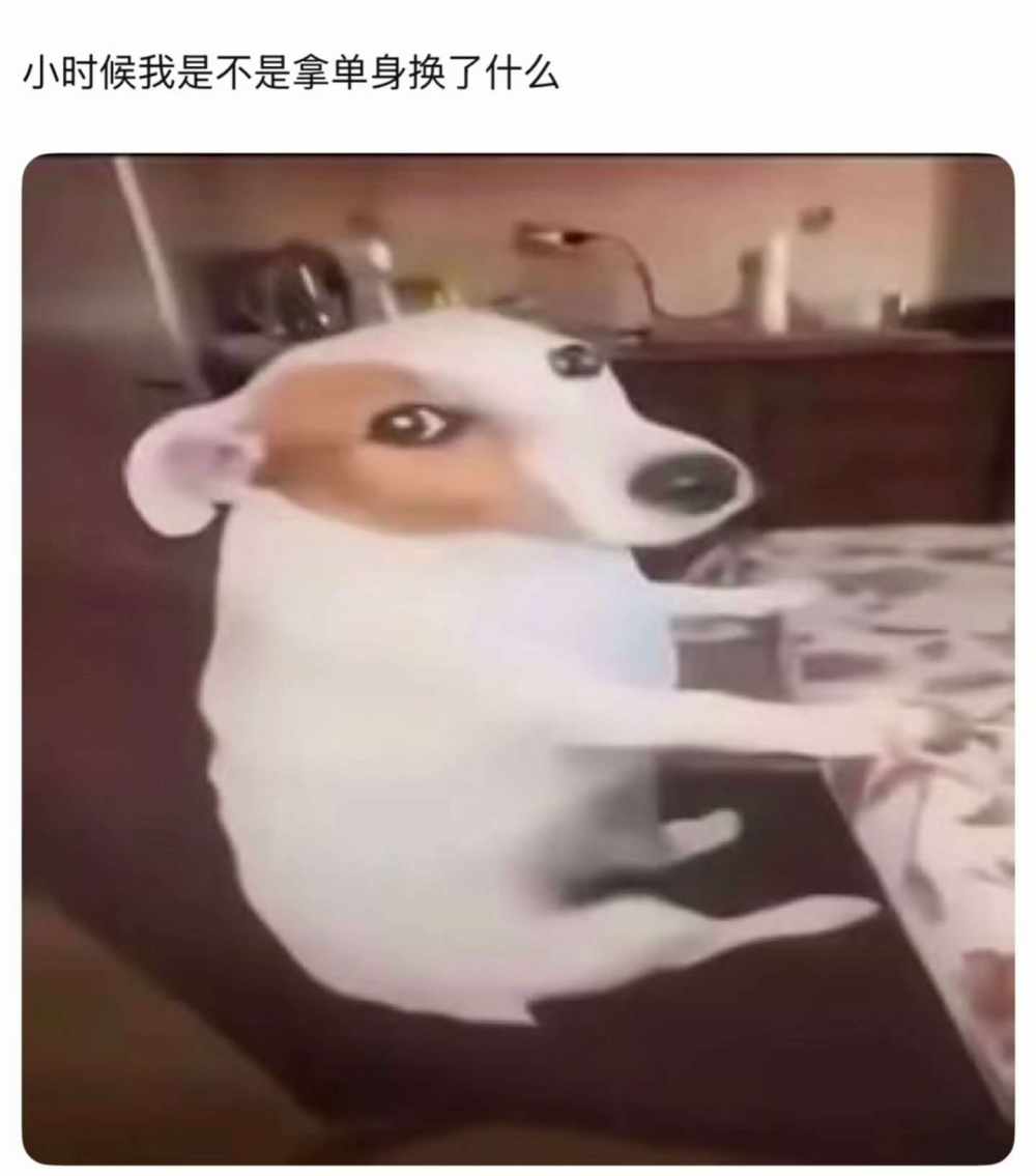 周不爱吃粥发布的第1张图片