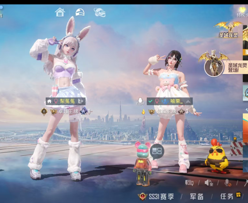 其他图片1