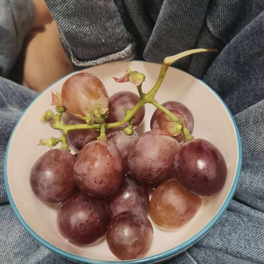 焦焦Ꙭ发布的第1张图片
