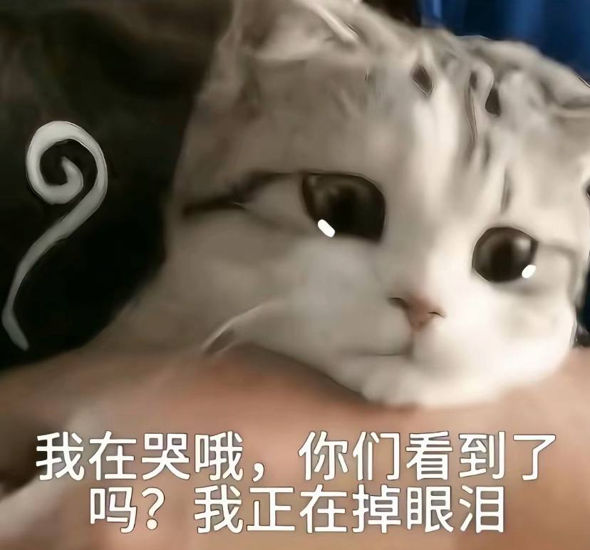 聊天三十号解评论永久封发布的第1张图片