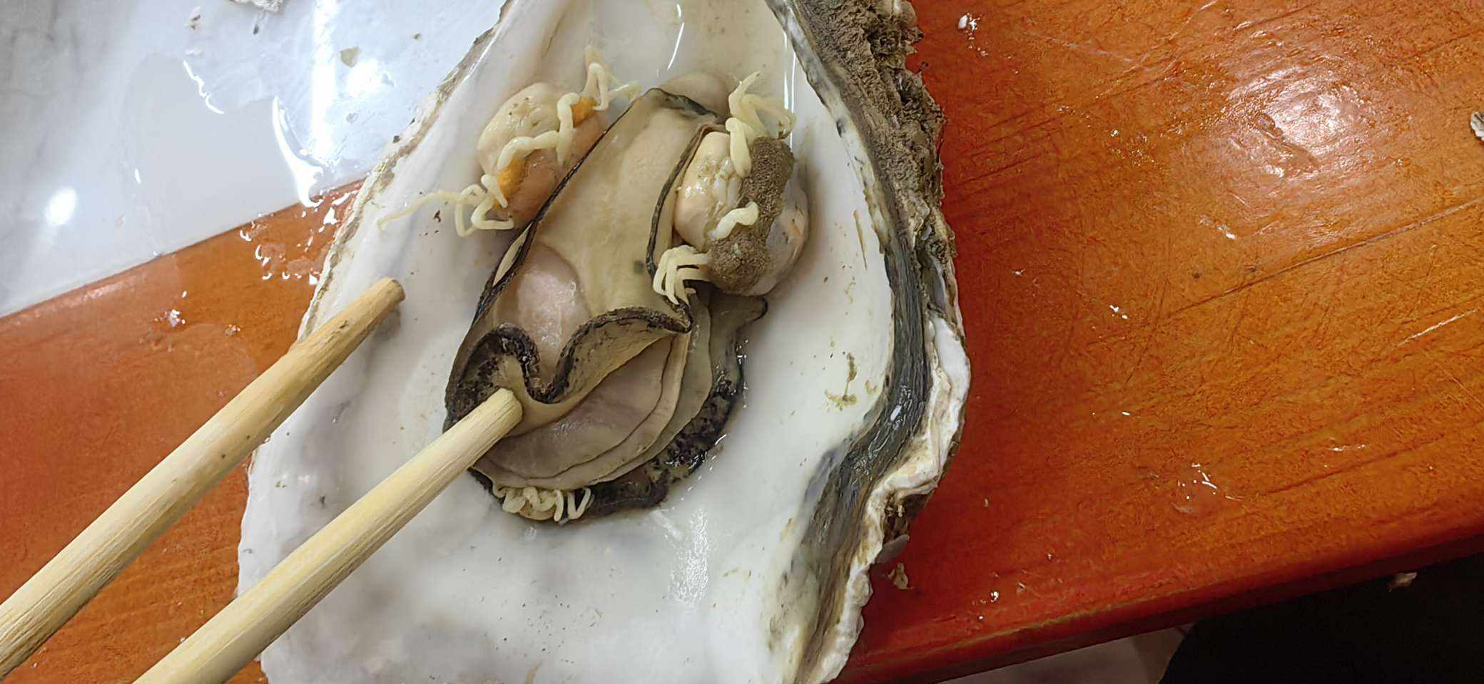 小皇帝.发布的第1张图片