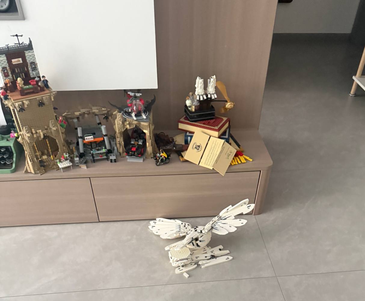 爪🐾发布的第1张图片