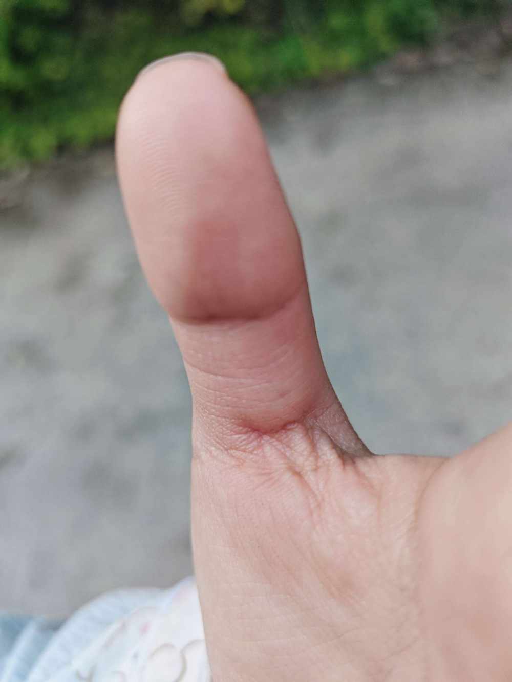 天 真发布的第2张图片